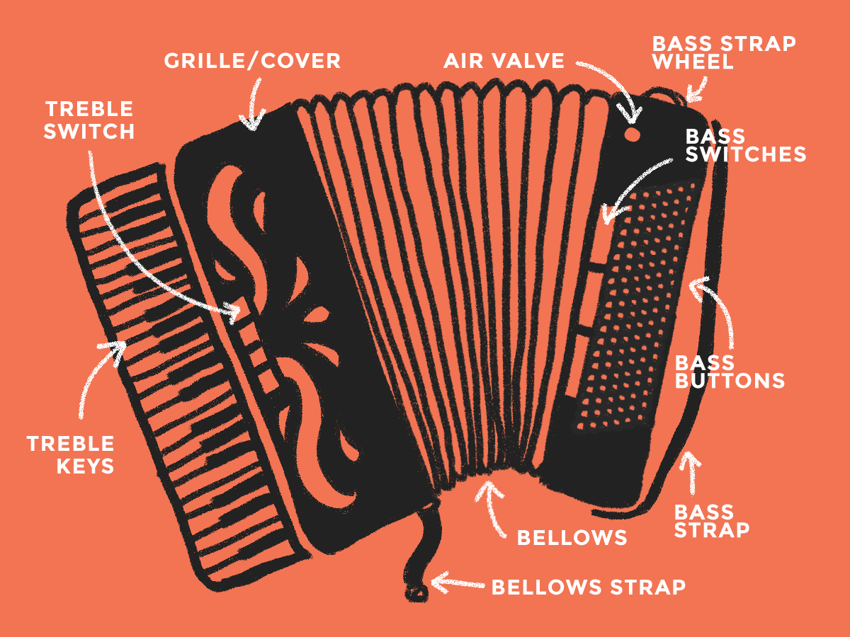 accordion, accordion anatomy, parts of the accordion, accordion parts