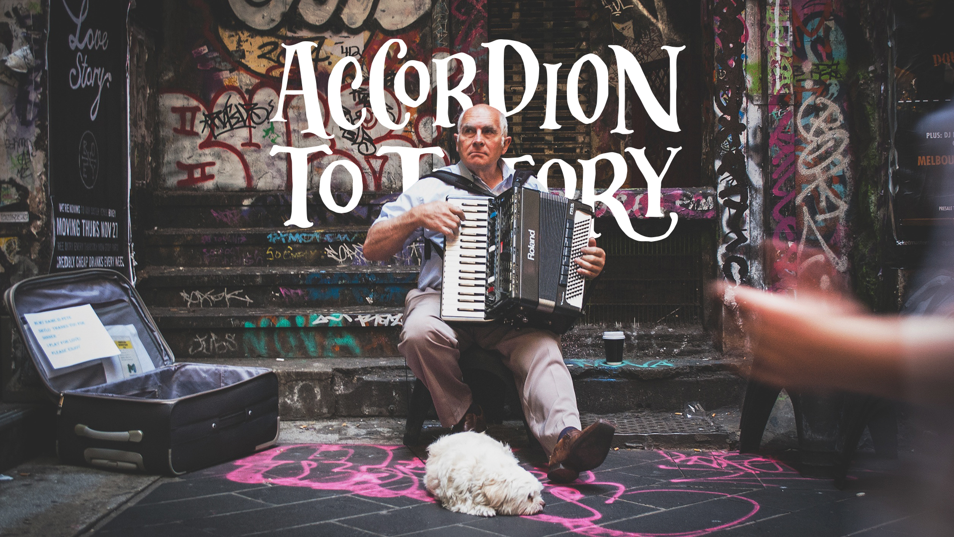 accordion to theory, accordion, accordionist