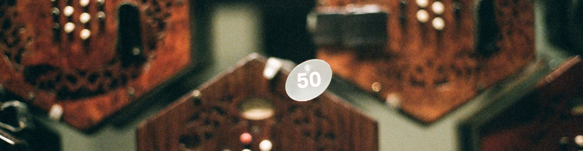 accordion to theory, accordion, accordionist