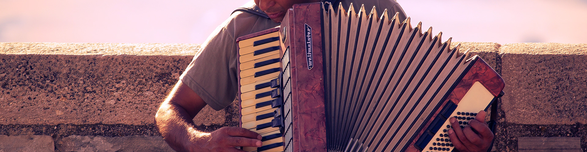 accordion to theory, accordion, accordionist