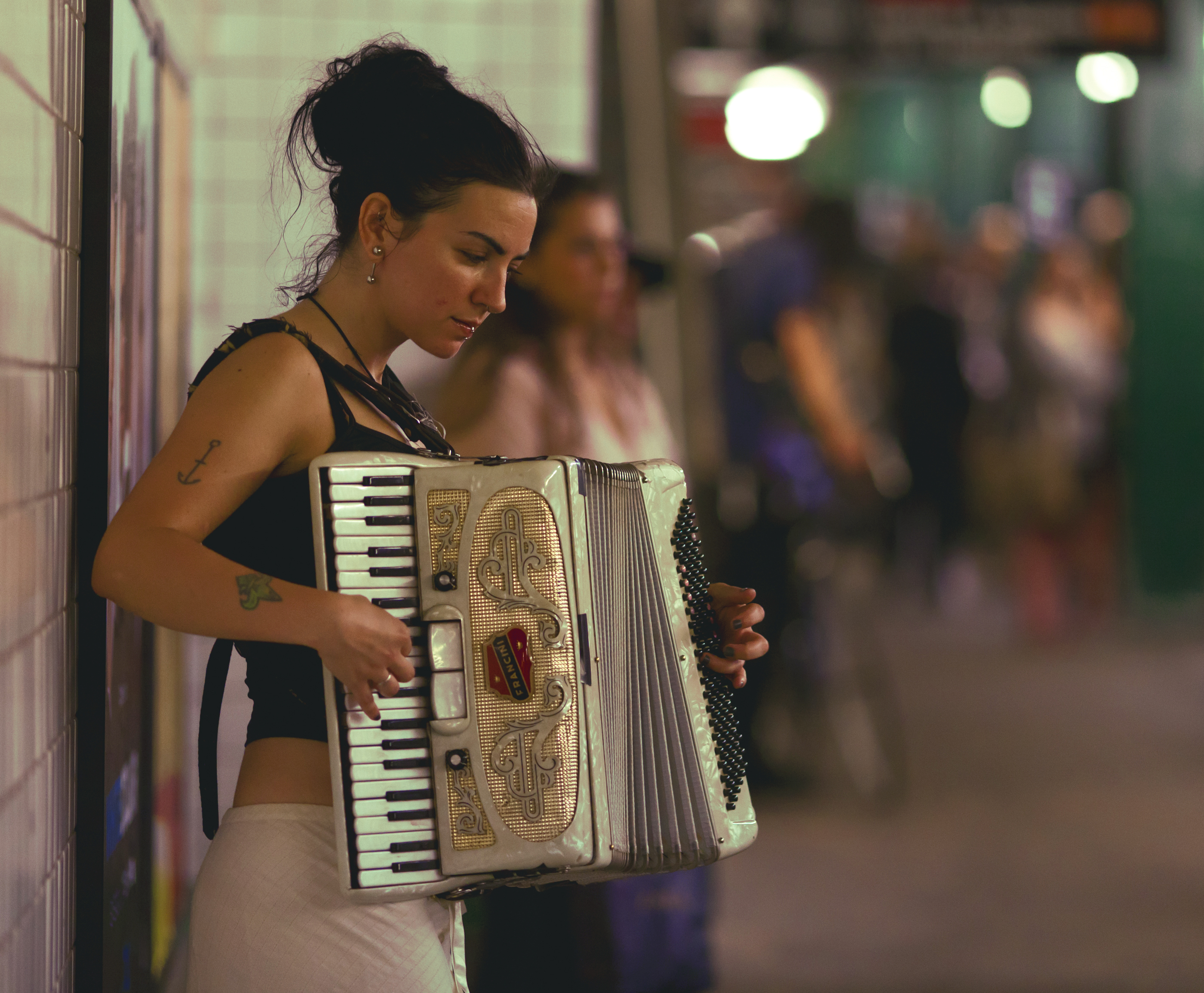 accordion, accordionist